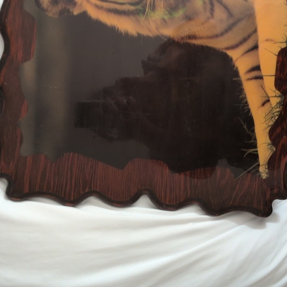 Gorgeous Large Wooden Tiger Plak with Sculpted Sides - Picture 4 of 6